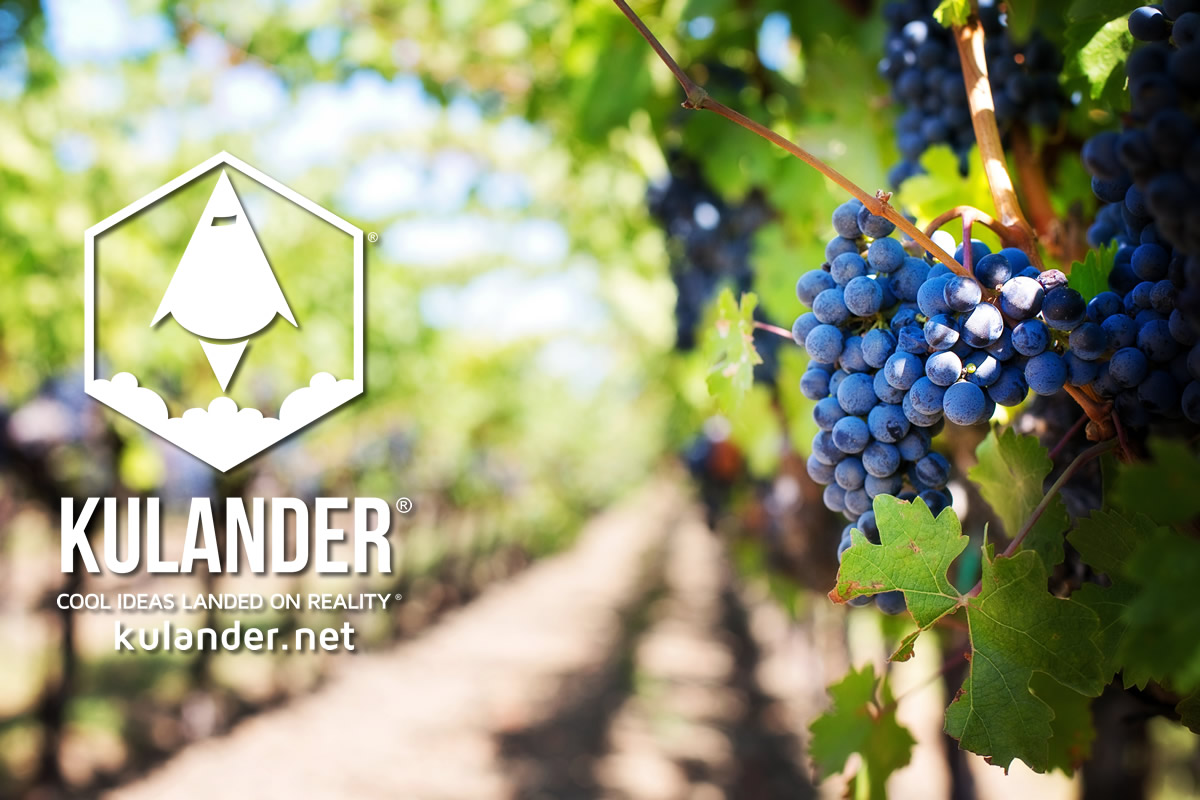 Websites for Winery & Vineyards